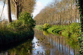 Approximately 11 kilometers from Bruges