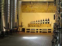 Bordeaux wine vinyards