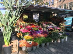 A flower shop in the city center.