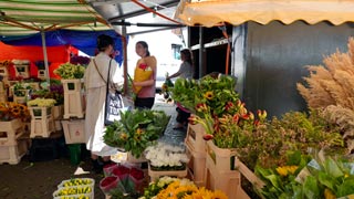 Amsterdam Flower Market : Floating flower market on the Singel Canal