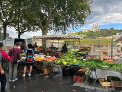 City of Lyon: The morning market along the Saône River: Notre Dame Cathedral can be seen in the back.