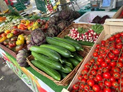 City of Lyon: Morning market along the Saône River