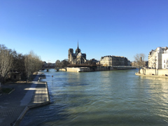 Notre-Dame de Paris Cathedral : the back：February 25th, 2018 : approximately 1 year before the fire.