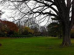 the Garden of Luxemburg ( Le Jardin de Luxembourg ) 