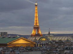 The Eiffel Tower from afar.