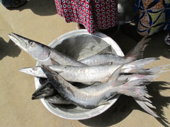 Le marché aux poissons dans le port de Cotonou