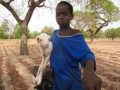 Garçon Fulani ( Peul ) et son agneau.