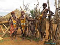 Les Hamers de la Vallée de l'Omo : Ethiopie