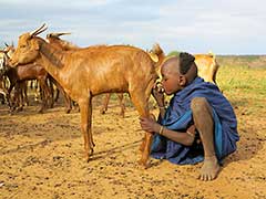 Les Hamers de la Vallée de l'Omo : Ethiopie