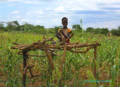 Les Hamers de la Vallée de l'Omo : Ethiopie