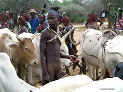 Les Hamers de la Vallée de l'Omo : Ethiopie