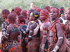 Les Hamers de la Vallée de l'Omo : Ethiopie