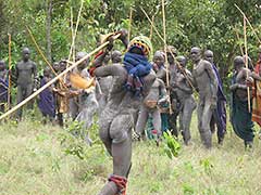 Le combat au bâton ( " Donga " ) est désormais interdit, car trop violent et cause de trop nombreux blessés.