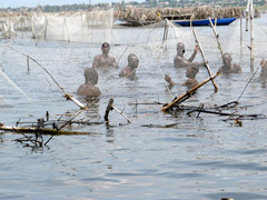 Les pêcheurs au travail