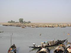 La rive du fleuve Niger vue de Mopti