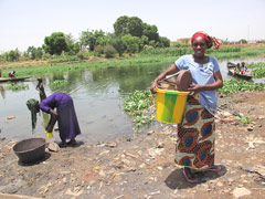 Les rives du fleuve Niger à Bamako