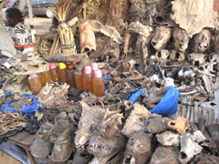 Un marché à Bamako : Ces "produits" sont utilisés dans la médecine traditionnelle, ainsi que par certains marabouts ou "sorciers"