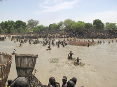 Mali : la Fête du Poisson en pays Dogon