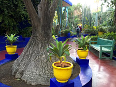 Jardin Majorelle