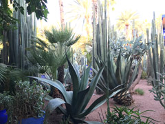 Jardin Majorelle