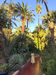 Jardin Majorelle