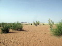 La Mauritanie