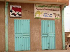 Une pharmacie pour le bétail