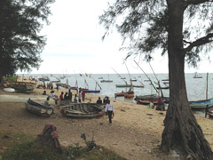 Le Canal du Mozambique