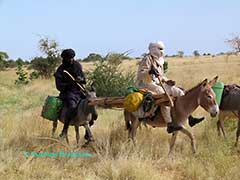 transhumance des peuls