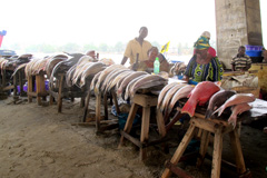 Un marché de poisson à Lagos