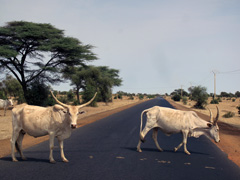 La route qui mène à la frontière entre la Sénégal et le Mali