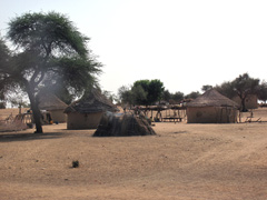 Village Peul ( dit aussi Toucouleur )