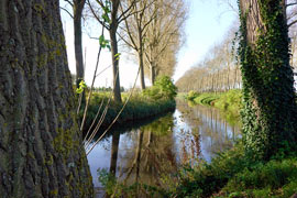 Environ 11 kilomètres de Bruges