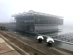 La Ferme Flottante de Rotterdam, une ferme laitière !