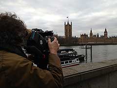 Palais de Westminster ( Chambres du Parlement )