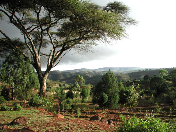 エチオピアの南部諸民族州内のコンソ地域