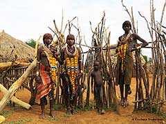 エチオピアのハマー族，又はハマル族