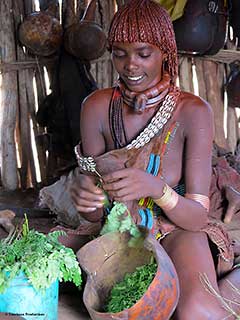 エチオピアのオモ川下流域のハマル族