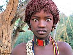 エチオピアのオモ川下流域のハマル族