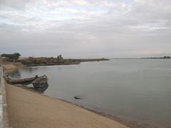 モーリタニアとセネガルの国境となっているセネガル川河です。