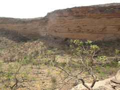 ドゴン族の地のバンディアガラの断崖とドゴン族の村