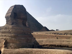 メンフィスとその墓地遺跡：スフィンクス