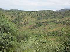 エチオピアのオモ川下流域のスルマ族，又はスリ族の住んでいる環境