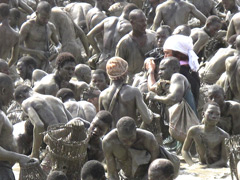 ドゴン族の魚祭り，神聖な漁儀式