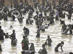 ドゴン族の魚祭り，神聖な漁儀式