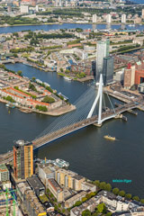 エラスムス橋 (オランダ語：Erasmusbrug)：ロッテルダム