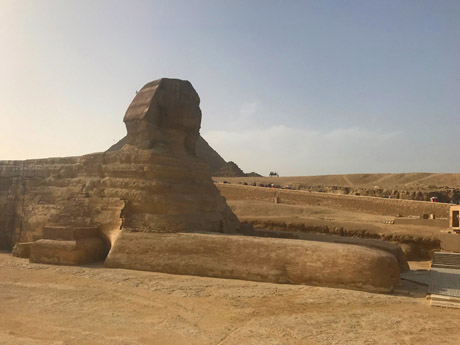 エジプト撮影コーディネーターのロケ現場からの写真